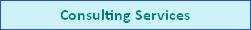 Consulting Services